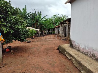 Chácara, 1 quarto - Foto 4