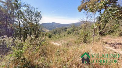 Terreno, 5000 m² - Foto 5