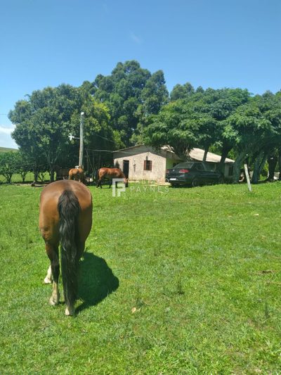 Chácara, 16 hectares - Foto 1