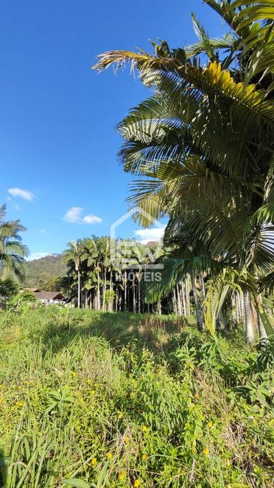 Terreno, 1294 m² - Foto 3