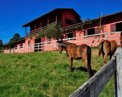 Fazenda, 6 m² - Foto 3