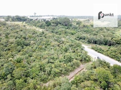 Terreno, 3 hectares - Foto 3
