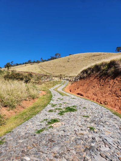 Terreno - Foto 3