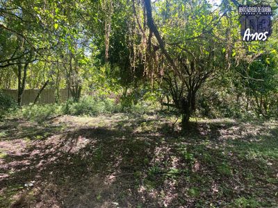 Terreno, 9750 m² - Foto 4