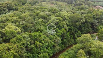 Chácara, 1 quarto, 2 hectares - Foto 3