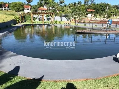 Sítio, 1 quarto, 4210 m² - Foto 1