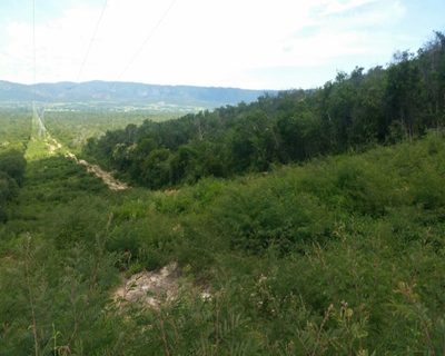 Fazenda, 10 hectares - Foto 3