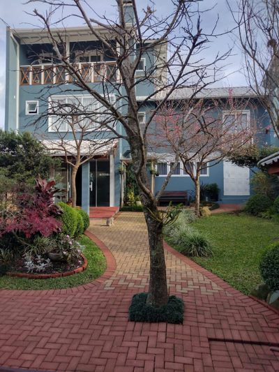 Casa, 3 quartos, 260 m² - Foto 5