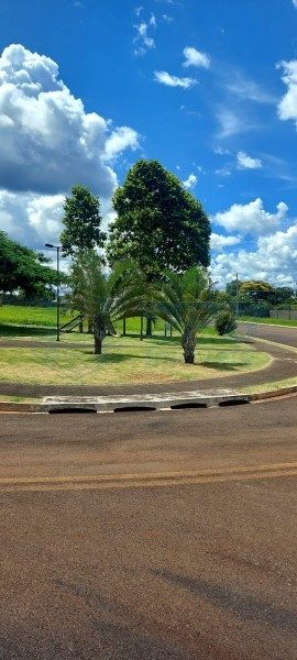 Terreno - Foto 4