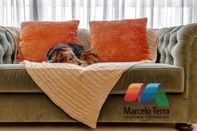 Apartamento, 3 quartos - Foto 4