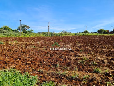 Chácara, 4000 m² - Foto 1