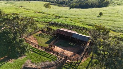 Fazenda, 175 hectares - Foto 5