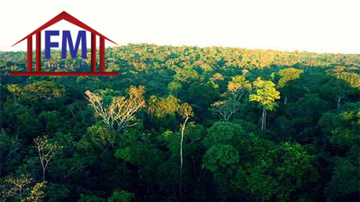 Fazenda - Foto 3