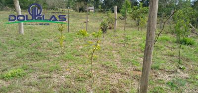 Casa - Foto 5