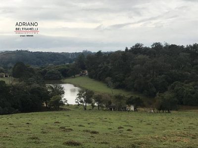 Terreno, 43 hectares - Foto 5
