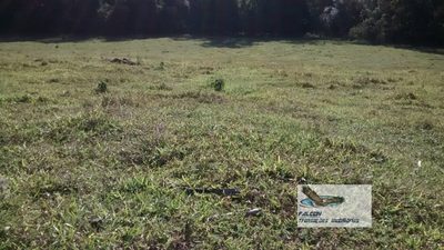 Terreno, 2 hectares - Foto 1