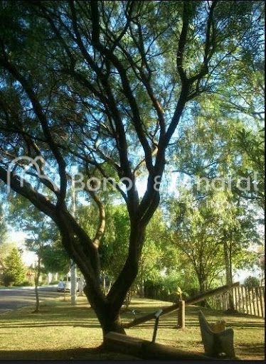 Terreno, 12 m² - Foto 1