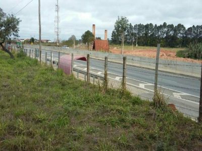 Terreno, 9 hectares - Foto 1