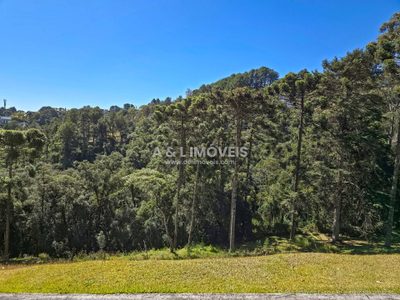Terreno, 1146 m² - Foto 1