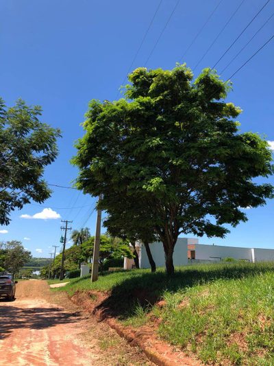 Terreno, 600 m² - Foto 4