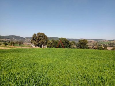 Terreno - Foto 3