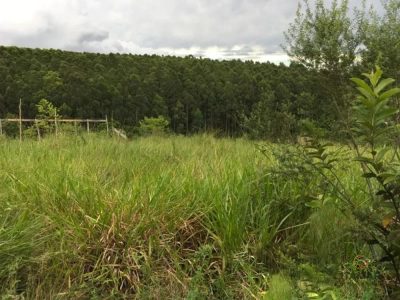Terreno, 3200 m² - Foto 3
