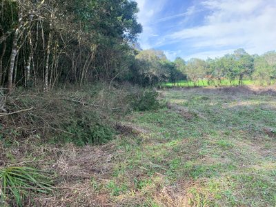 Terreno, 7000 m² - Foto 4