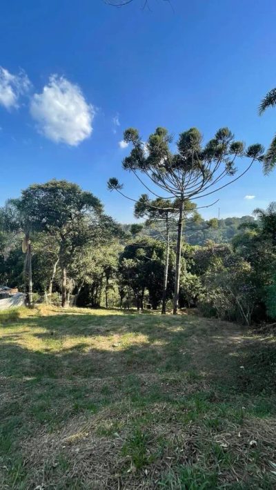 Terreno - Foto 4