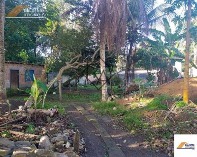 Terreno - Foto 1