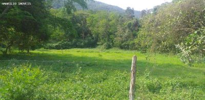 Terreno, 2 hectares - Foto 2