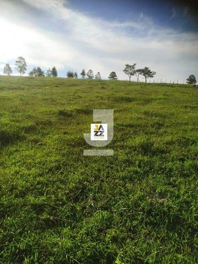 Sítio, 2 hectares - Foto 4