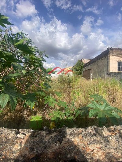 Terreno, 250 m² - Foto 5
