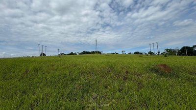Depósito-Galpão - Foto 3