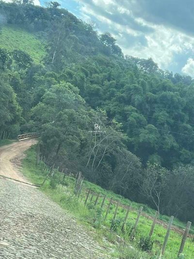 Chácara, 1 quarto, 4 hectares - Foto 3