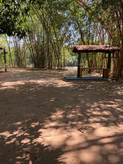 Chácara, 4000 m² - Foto 4