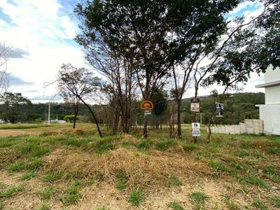 Terreno, 525 m² - Foto 2