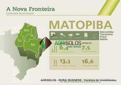 Terreno, 10000 m² - Foto 3