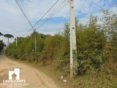 Terreno, 1 hectares - Foto 2