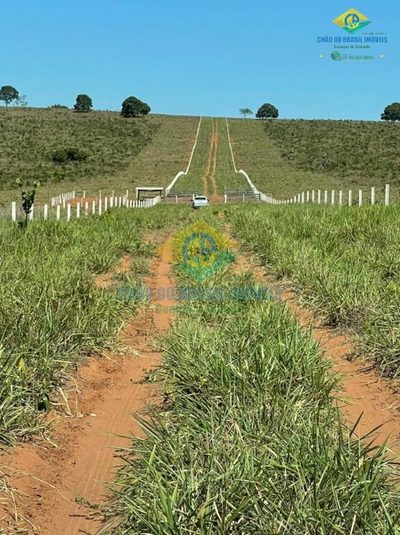 Fazenda, 2469 m² - Foto 4