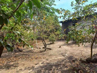 Terreno, 360 m² - Foto 5