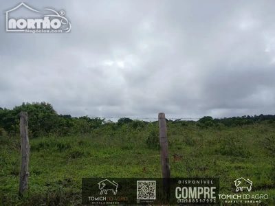 Casa, 30 m² - Foto 5