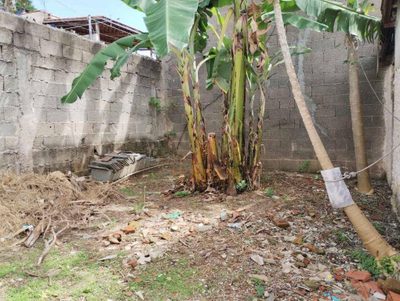 Terreno, 250 m² - Foto 4