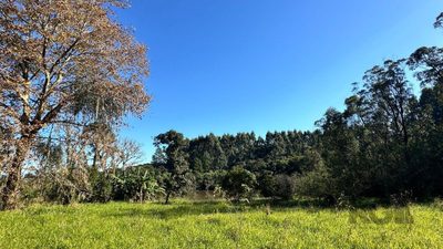 Sítio, 27999 m² - Foto 1