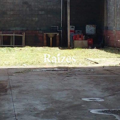 Imóvel Comercial, 350 m² - Foto 1