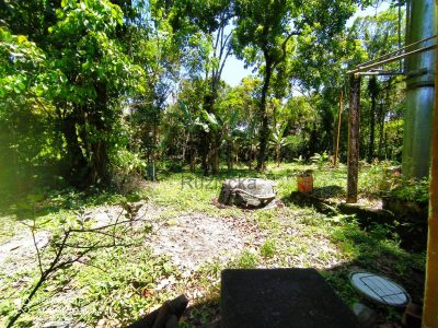 Chácara, 2 quartos, 2000 m² - Foto 5