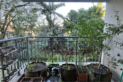 Apartamento, 2 quartos, 66 m² - Foto 5