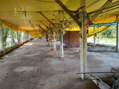 Sítio, 3 quartos, 17 hectares - Foto 5