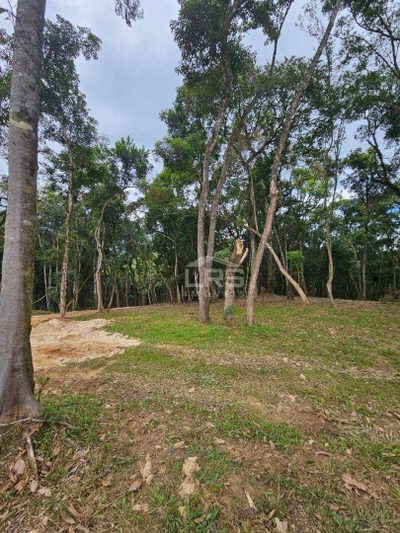 Chácara, 2 hectares - Foto 4