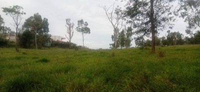 Terreno, 7 hectares - Foto 2