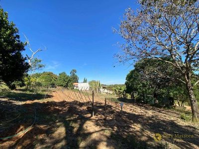 Chácara, 2 quartos, 5200 m² - Foto 4